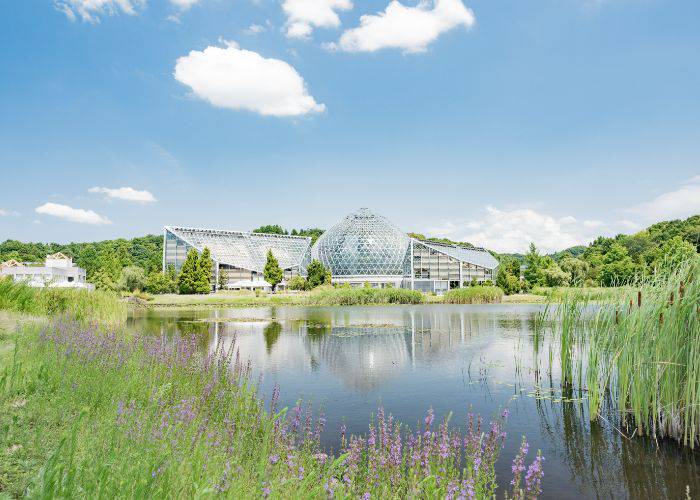 Looking across the water at the Niigata Botanical Garden on a sunny day.